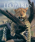 Leopards, translated by Julian Wagstaff